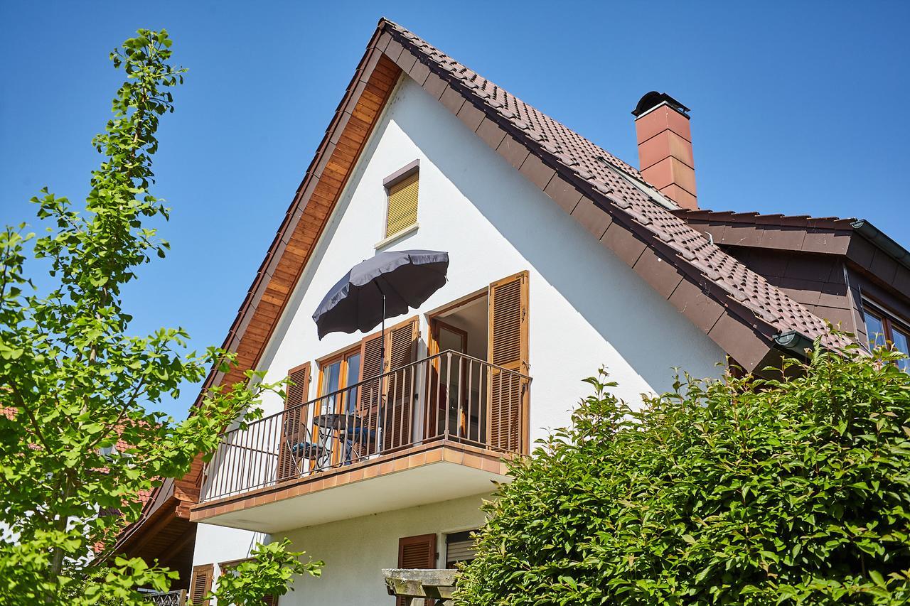 Bodensee Apartment Friedrichshafen Seenah エクステリア 写真