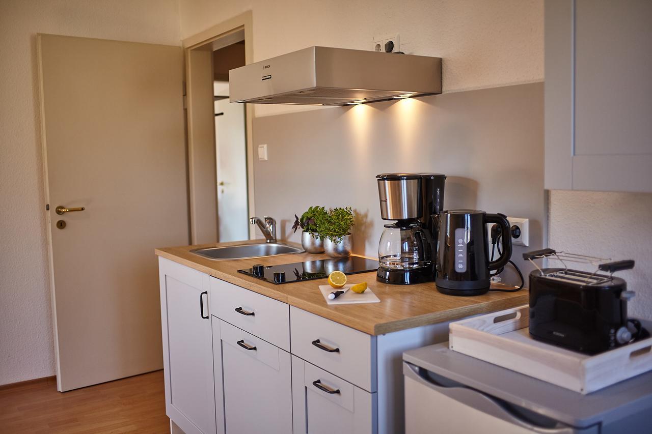 Bodensee Apartment Friedrichshafen Seenah エクステリア 写真