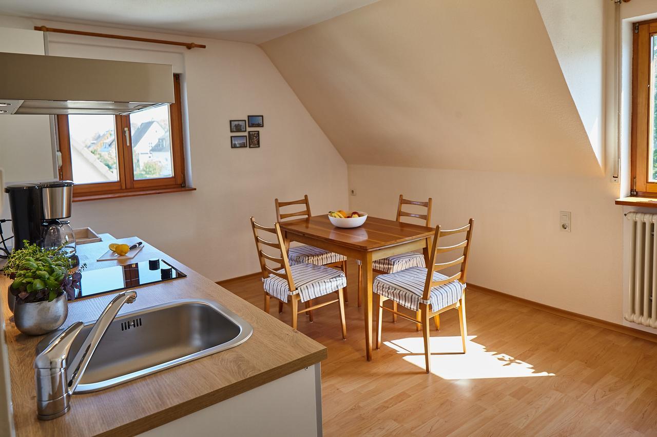 Bodensee Apartment Friedrichshafen Seenah エクステリア 写真
